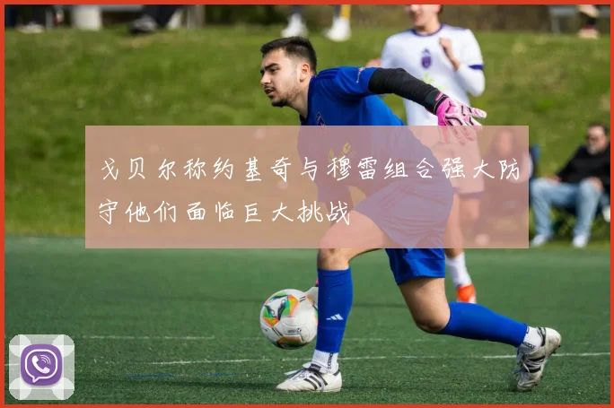 戈贝尔称约基奇与穆雷组合强大防守他们面临巨大挑战