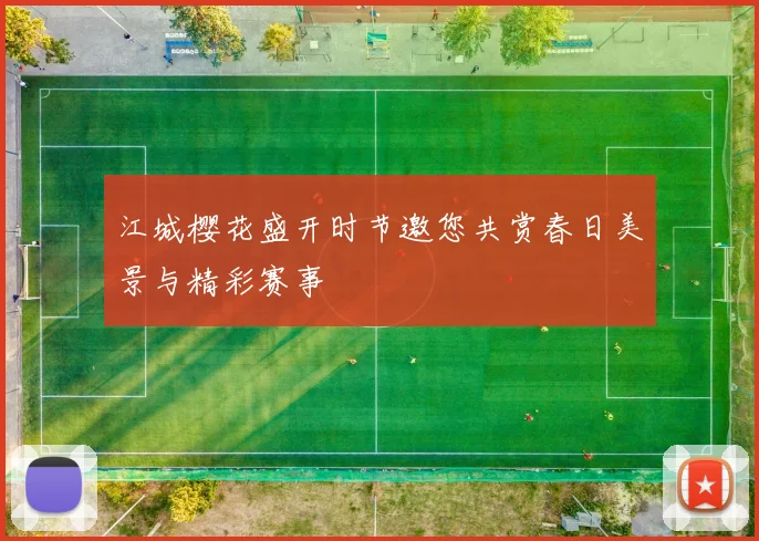 江城樱花盛开时节邀您共赏春日美景与精彩赛事