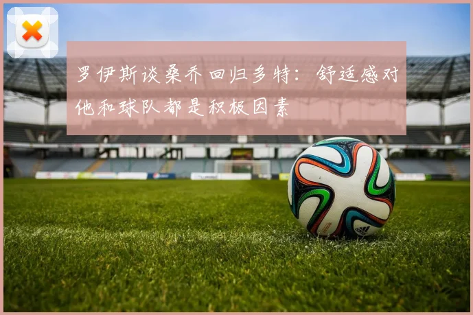 罗伊斯谈桑乔回归多特：舒适感对他和球队都是积极因素